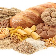 Atelier nutrition