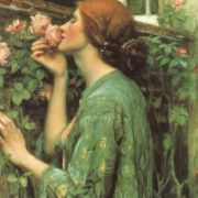 huile essentielle