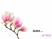 Alma Consult