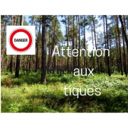 Attention aux tiques