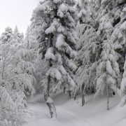 les engelures en hiver
