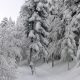les engelures en hiver
