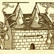 Distillation d'une plante aromatique