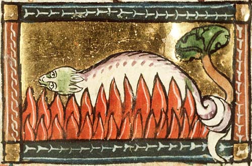 La Salamandre, être élémentaire lié au feu